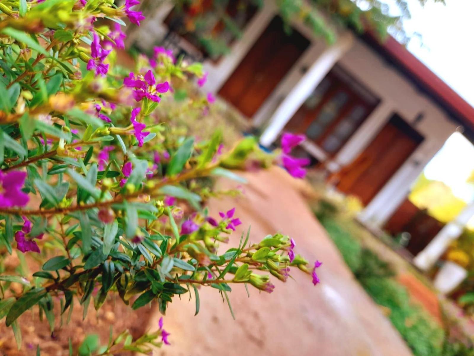 The Cozy Cottage Habarana Exterior foto