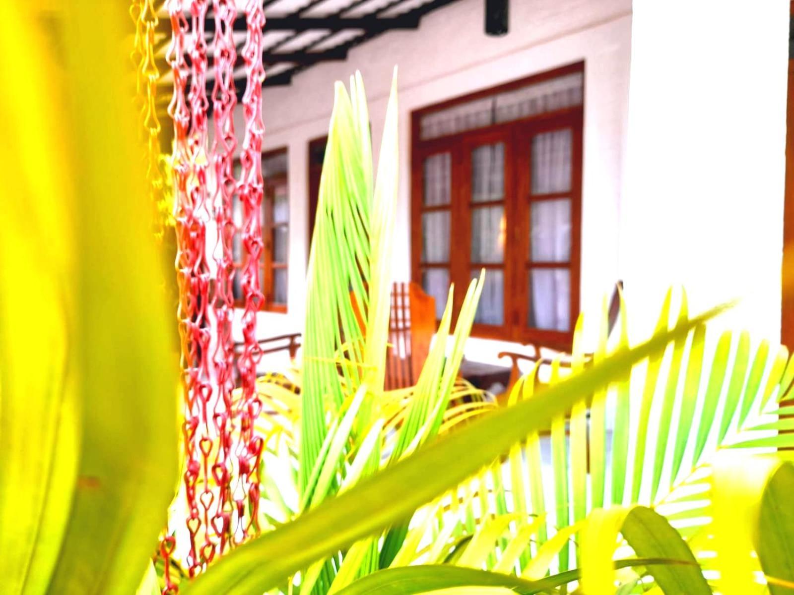 The Cozy Cottage Habarana Exterior foto
